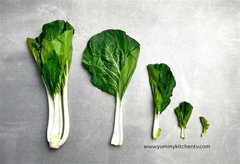 Pechay (The Filipino ‘Bok Choy’) .